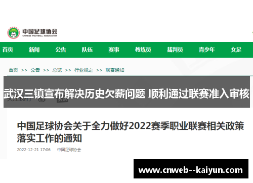 武汉三镇宣布解决历史欠薪问题 顺利通过联赛准入审核 武汉三镇宣布解决历史欠薪问题 顺利通过联赛准入审核