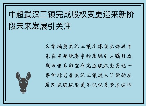 中超武汉三镇完成股权变更迎来新阶段未来发展引关注